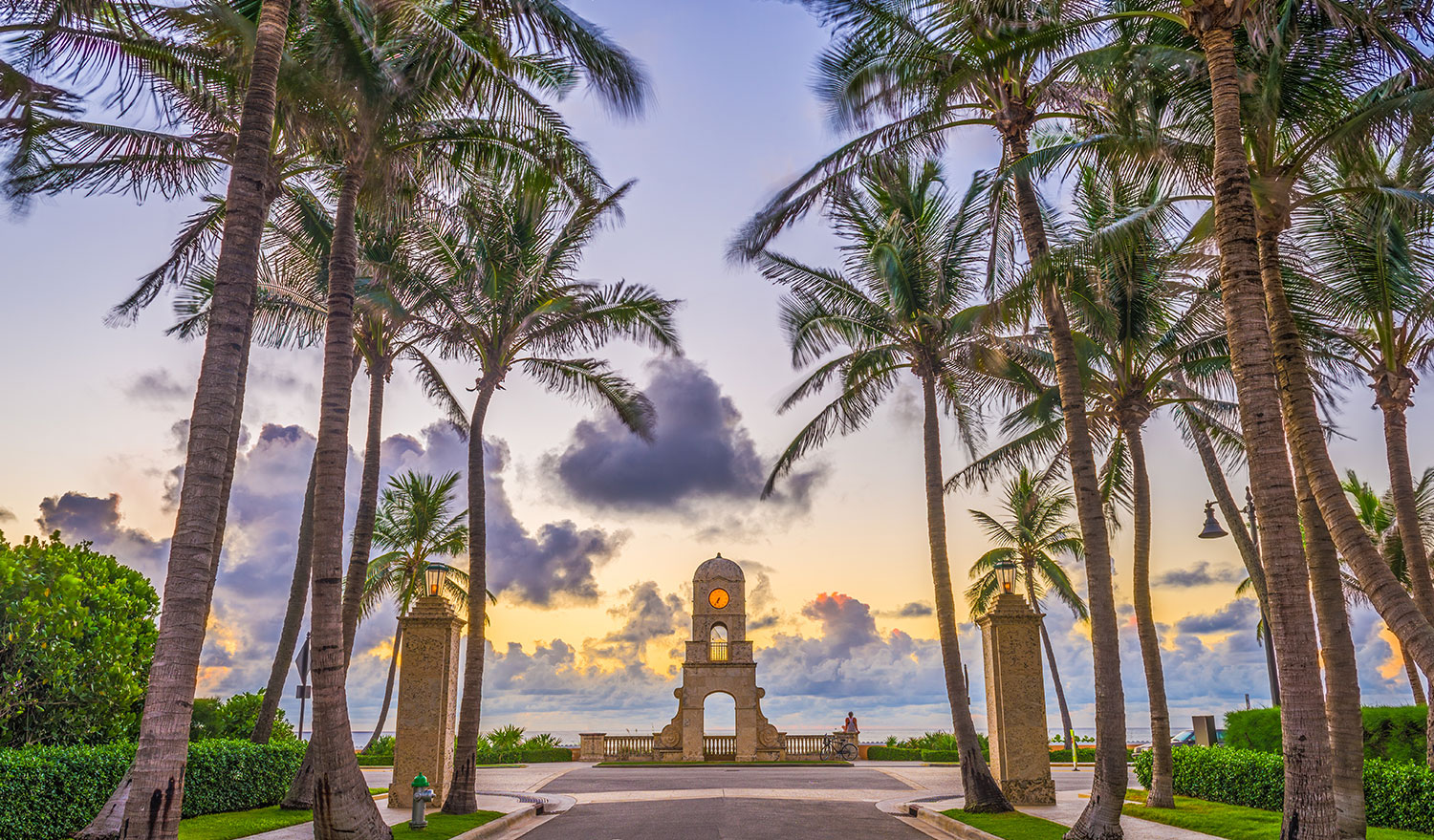 Palm Trees and Clock overlooking sunset and waterfront